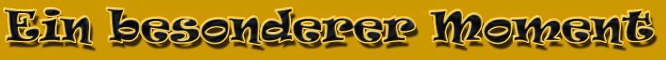 Versteigerung 6