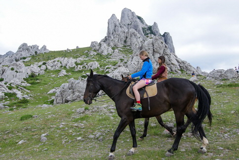 C66D8059_Bildgre ndern