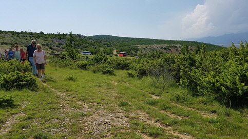 20180525_152929_Bildgre ndern
