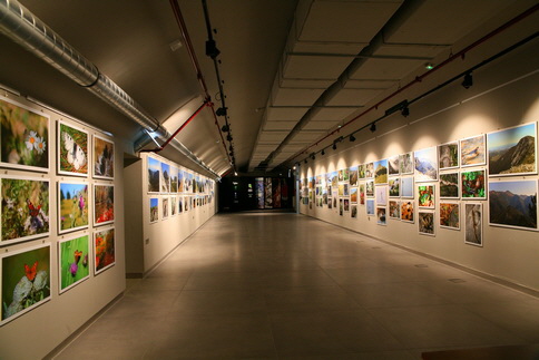 IMG_6930_Bildgre ndern