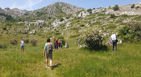 20190614_141108_Bildgre ndern