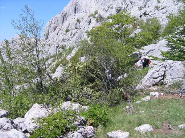 Bild 1108f
