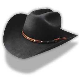 Hat-cowboy-black-icon