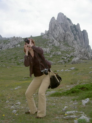 Bild 321_Bildgre ndern