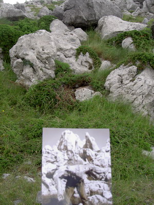 Bild 336_Bildgre ndern