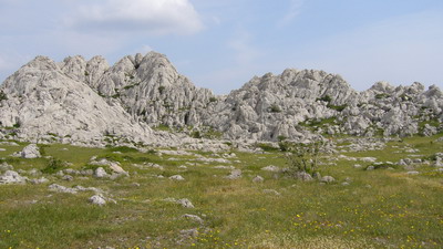 Bilder 171_Bildgre ndern