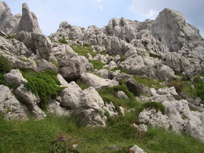 CIMG8445_Bildgre ndern