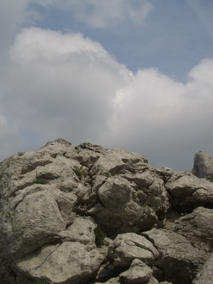 CIMG8455_Bildgre ndern