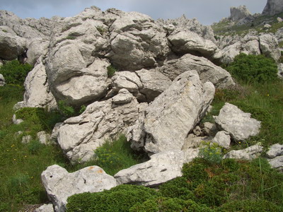 CIMG8456_Bildgre ndern