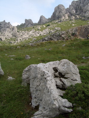 CIMG8467_Bildgre ndern