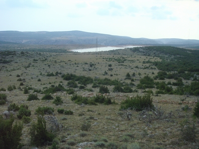 DSC01455